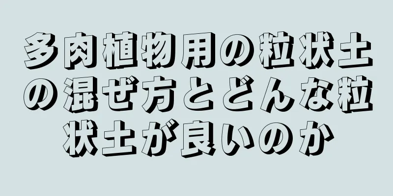 多肉植物用の粒状土の混ぜ方とどんな粒状土が良いのか
