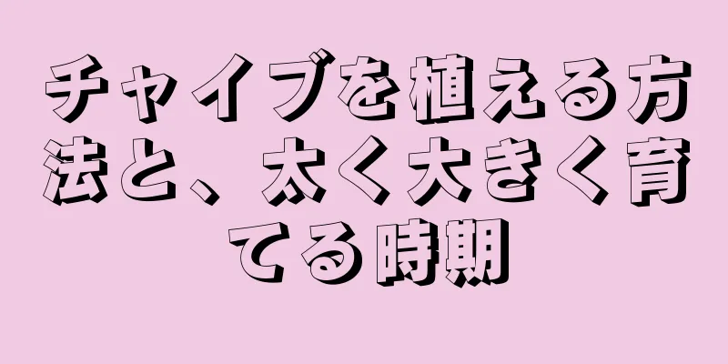 チャイブを植える方法と、太く大きく育てる時期