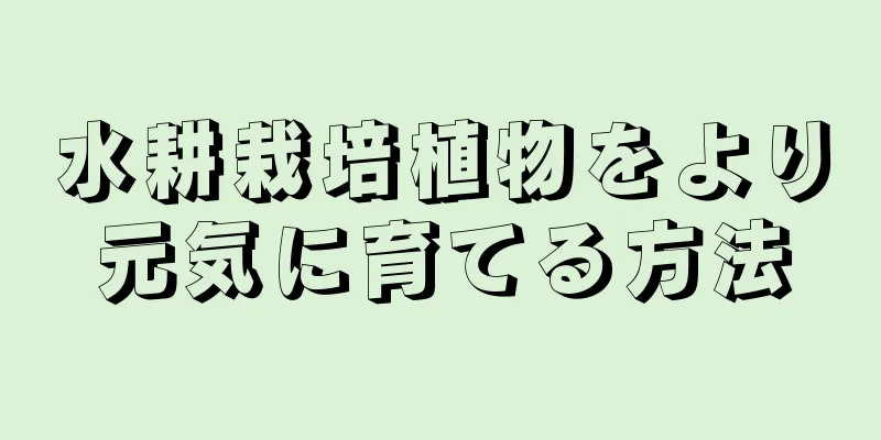 水耕栽培植物をより元気に育てる方法