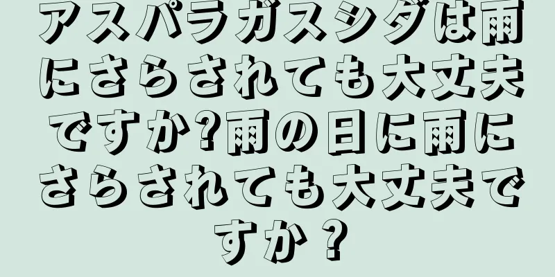 アスパラガスシダは雨にさらされても大丈夫ですか?雨の日に雨にさらされても大丈夫ですか？