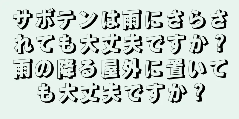 サボテンは雨にさらされても大丈夫ですか？雨の降る屋外に置いても大丈夫ですか？