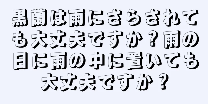 黒蘭は雨にさらされても大丈夫ですか？雨の日に雨の中に置いても大丈夫ですか？
