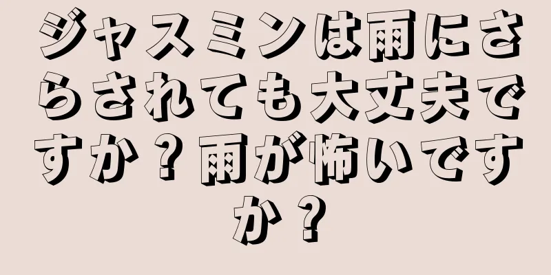 ジャスミンは雨にさらされても大丈夫ですか？雨が怖いですか？