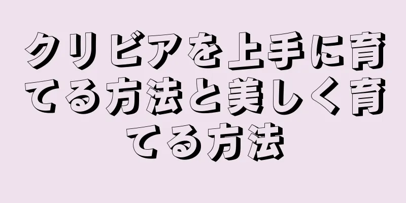 クリビアを上手に育てる方法と美しく育てる方法