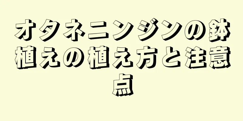 オタネニンジンの鉢植えの植え方と注意点