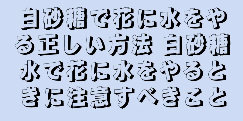 白砂糖で花に水をやる正しい方法 白砂糖水で花に水をやるときに注意すべきこと