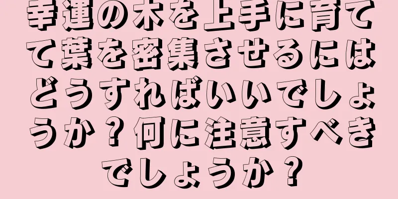 幸運の木を上手に育てて葉を密集させるにはどうすればいいでしょうか？何に注意すべきでしょうか？