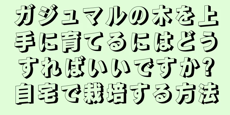 ガジュマルの木を上手に育てるにはどうすればいいですか?自宅で栽培する方法