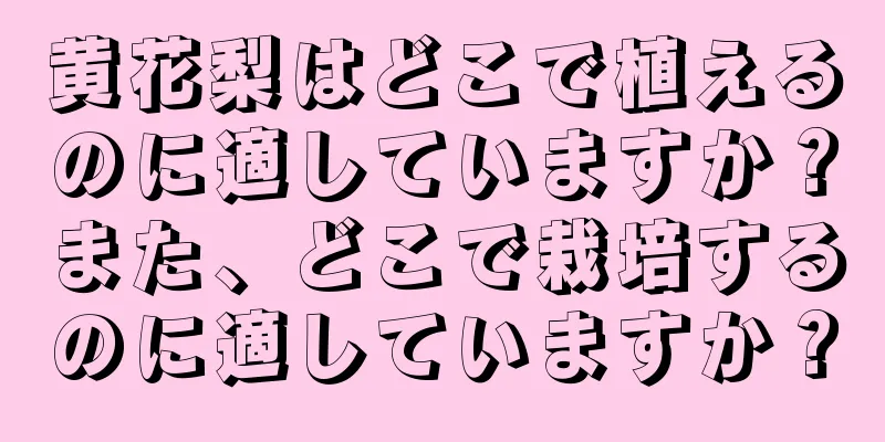 黄花梨はどこで植えるのに適していますか？また、どこで栽培するのに適していますか？