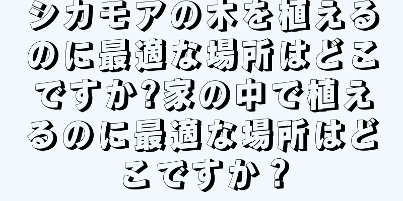 シカモアの木を植えるのに最適な場所はどこですか?家の中で植えるのに最適な場所はどこですか？
