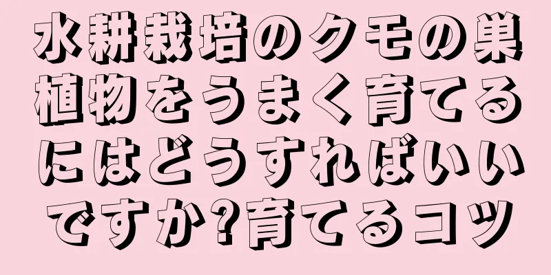 水耕栽培のクモの巣植物をうまく育てるにはどうすればいいですか?育てるコツ