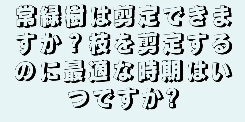 常緑樹は剪定できますか？枝を剪定するのに最適な時期はいつですか?