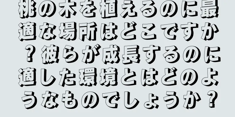 桃の木を植えるのに最適な場所はどこですか？彼らが成長するのに適した環境とはどのようなものでしょうか？