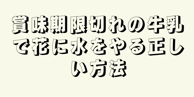 賞味期限切れの牛乳で花に水をやる正しい方法
