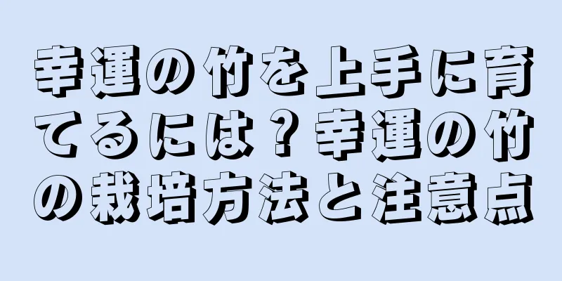幸運の竹を上手に育てるには？幸運の竹の栽培方法と注意点