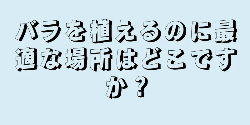 バラを植えるのに最適な場所はどこですか？