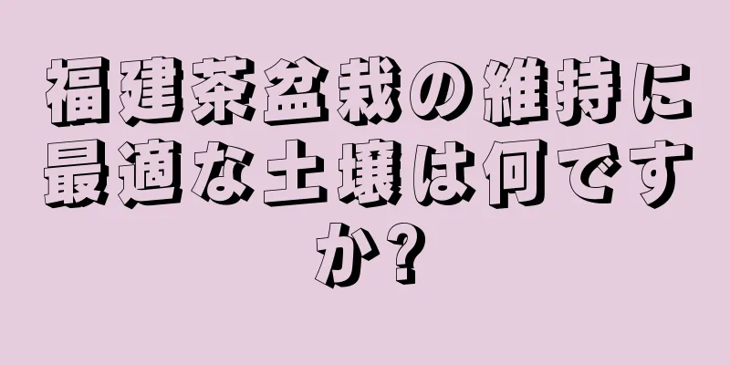 福建茶盆栽の維持に最適な土壌は何ですか?
