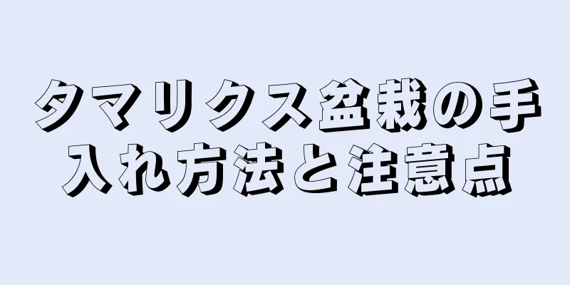 タマリクス盆栽の手入れ方法と注意点