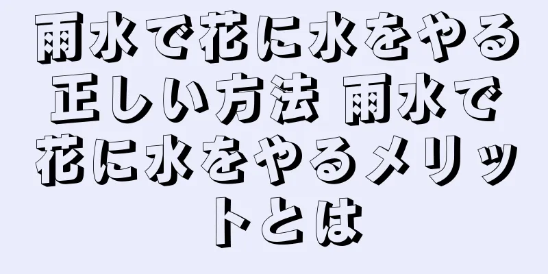 雨水で花に水をやる正しい方法 雨水で花に水をやるメリットとは