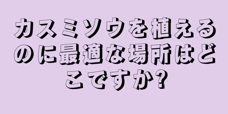 カスミソウを植えるのに最適な場所はどこですか?
