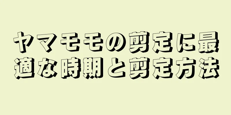 ヤマモモの剪定に最適な時期と剪定方法