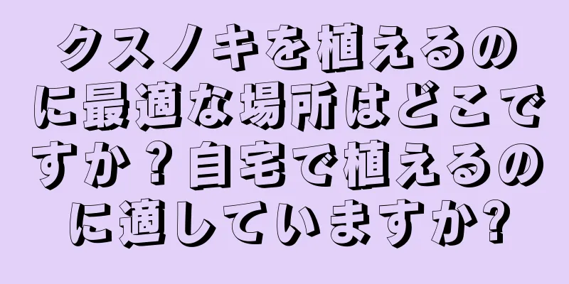 クスノキを植えるのに最適な場所はどこですか？自宅で植えるのに適していますか?