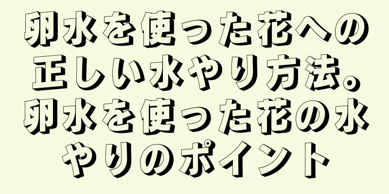卵水を使った花への正しい水やり方法。卵水を使った花の水やりのポイント