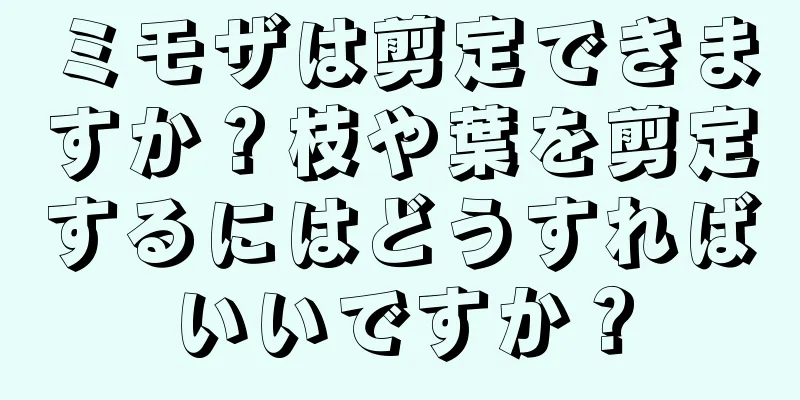 ミモザは剪定できますか？枝や葉を剪定するにはどうすればいいですか？