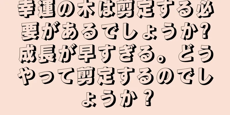 幸運の木は剪定する必要があるでしょうか?成長が早すぎる。どうやって剪定するのでしょうか？
