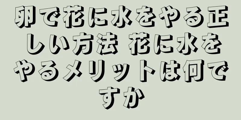 卵で花に水をやる正しい方法 花に水をやるメリットは何ですか