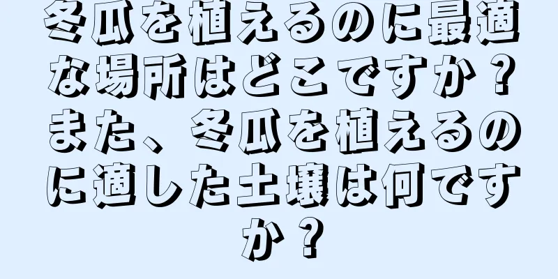 冬瓜を植えるのに最適な場所はどこですか？また、冬瓜を植えるのに適した土壌は何ですか？