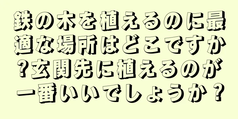 鉄の木を植えるのに最適な場所はどこですか?玄関先に植えるのが一番いいでしょうか？