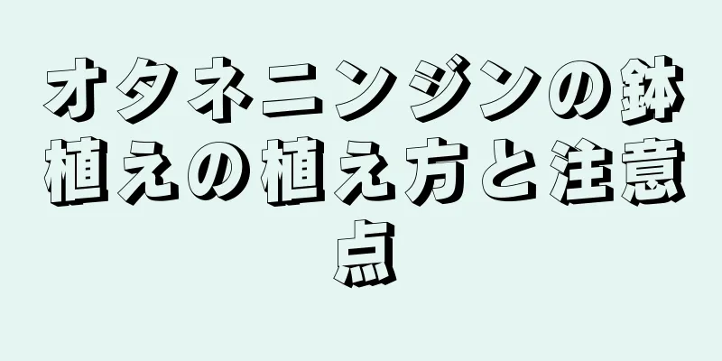 オタネニンジンの鉢植えの植え方と注意点