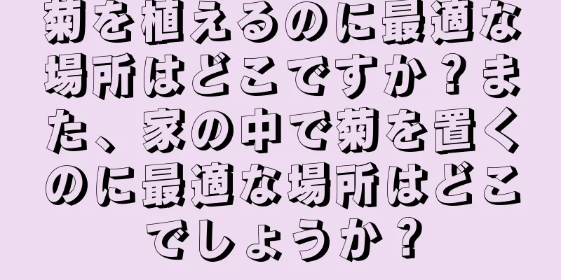 菊を植えるのに最適な場所はどこですか？また、家の中で菊を置くのに最適な場所はどこでしょうか？