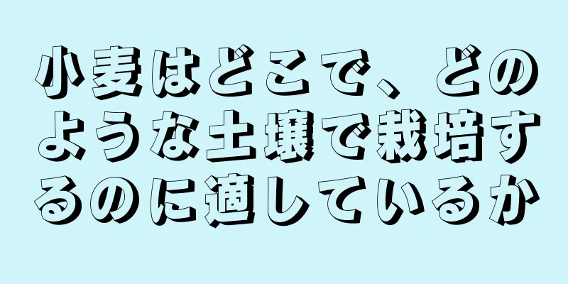 小麦はどこで、どのような土壌で栽培するのに適しているか