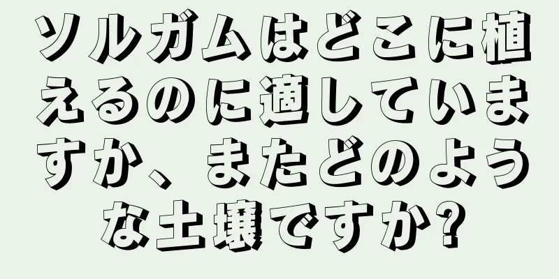 ソルガムはどこに植えるのに適していますか、またどのような土壌ですか?