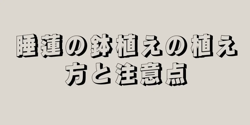 睡蓮の鉢植えの植え方と注意点
