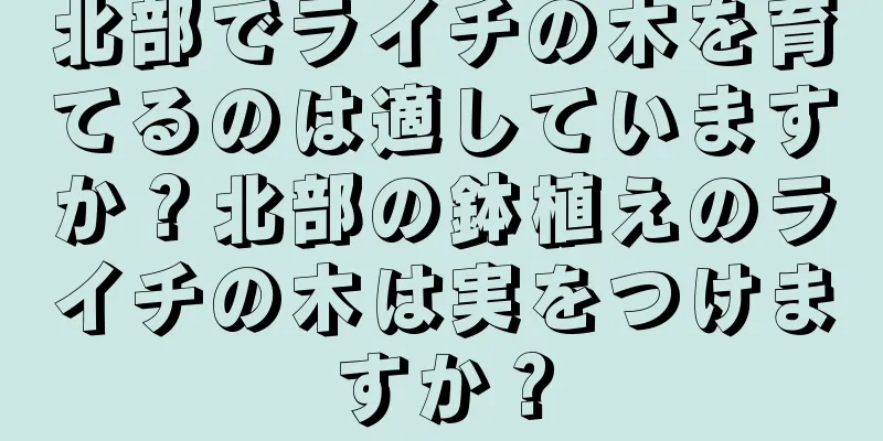 北部でライチの木を育てるのは適していますか？北部の鉢植えのライチの木は実をつけますか？