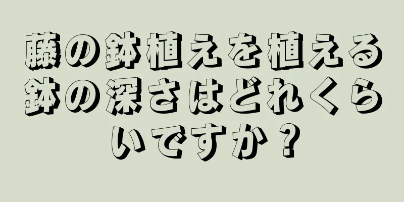 藤の鉢植えを植える鉢の深さはどれくらいですか？