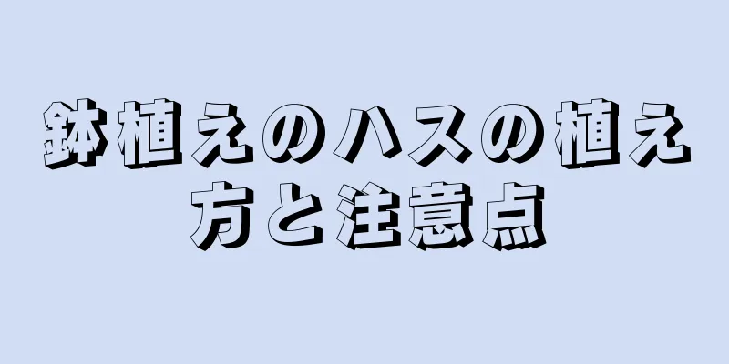 鉢植えのハスの植え方と注意点