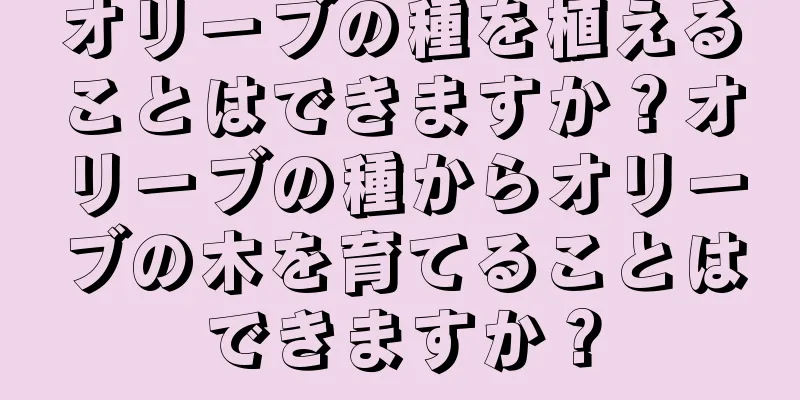 オリーブの種を植えることはできますか？オリーブの種からオリーブの木を育てることはできますか？