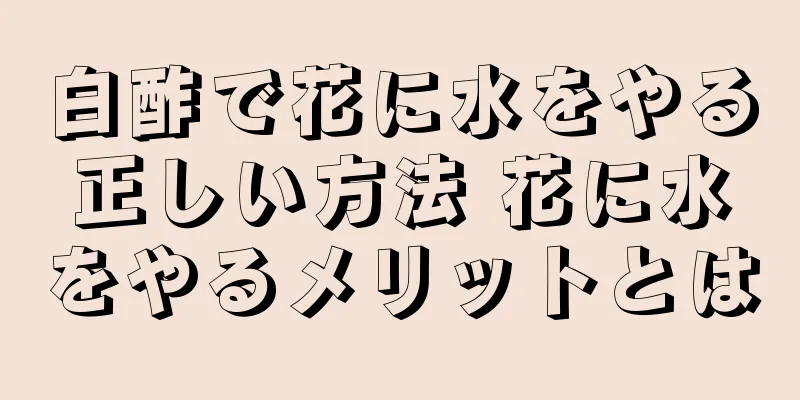 白酢で花に水をやる正しい方法 花に水をやるメリットとは