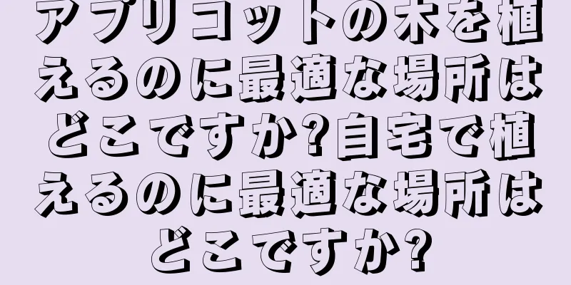 アプリコットの木を植えるのに最適な場所はどこですか?自宅で植えるのに最適な場所はどこですか?