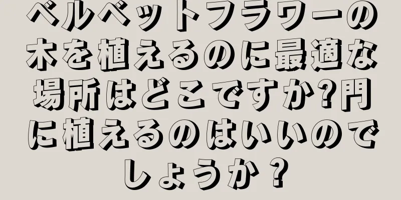 ベルベットフラワーの木を植えるのに最適な場所はどこですか?門に植えるのはいいのでしょうか？
