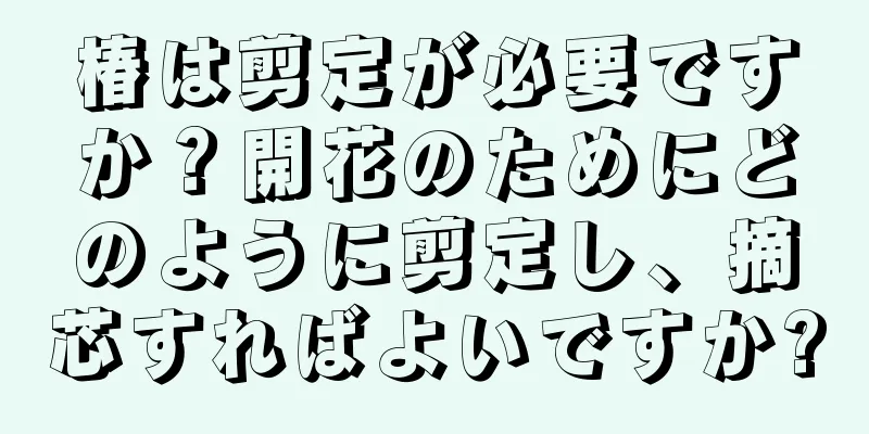 椿は剪定が必要ですか？開花のためにどのように剪定し、摘芯すればよいですか?