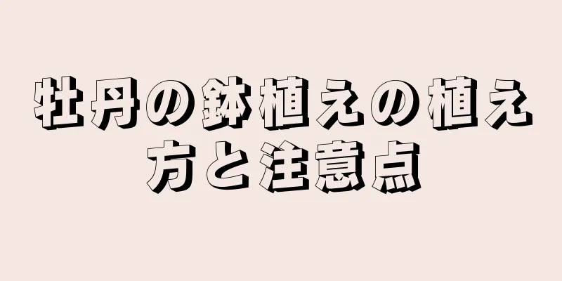 牡丹の鉢植えの植え方と注意点
