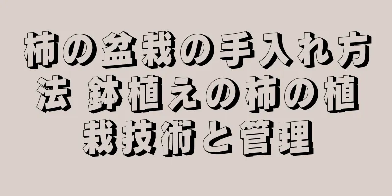 柿の盆栽の手入れ方法 鉢植えの柿の植栽技術と管理