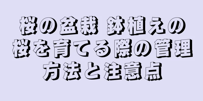 桜の盆栽 鉢植えの桜を育てる際の管理方法と注意点