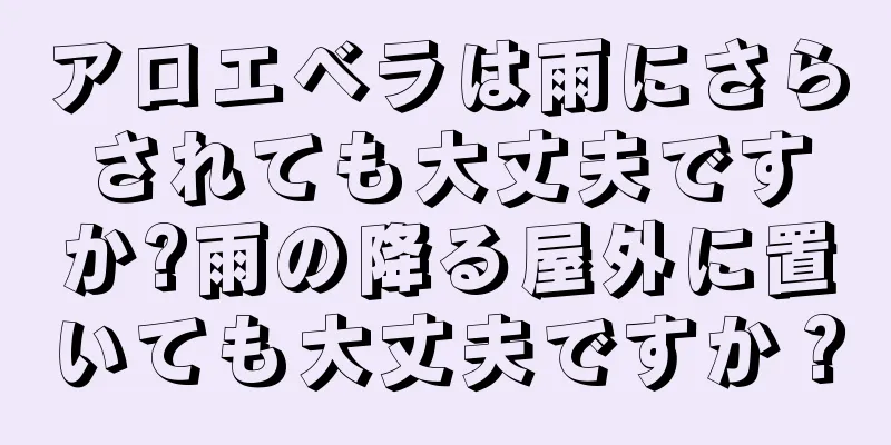 アロエベラは雨にさらされても大丈夫ですか?雨の降る屋外に置いても大丈夫ですか？