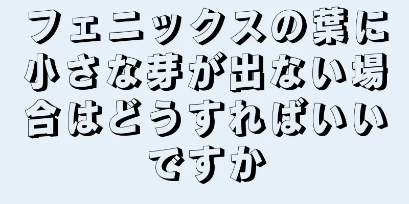 フェニックスの葉に小さな芽が出ない場合はどうすればいいですか